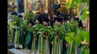 Почему на Троицу, 27 мая, нельзя купаться и зачем дома и храмы украшают березами