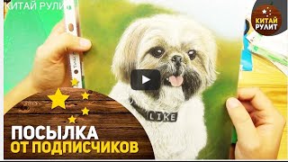 мужские пиджаки недорого
