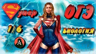 ПОДГОТОВКА К ОГЭ БИОЛОГИЯ 2020. 1/6
