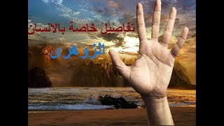 تفاصيل خاصة بالانسان الزوهرى اول مرة هتسمعاها