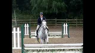Large Pony Hunter For Sale - The Art of Silver