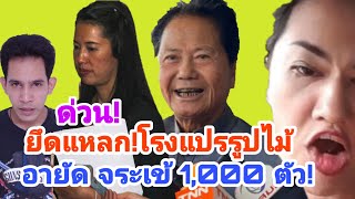 ยึดแล้ว!จระเข้ 1,000 ตัว โรงแปรรูปไม้ บนที่ดิน"ทวี ไกรคุปต์"พร้อมแจ้งความเอาผิด ปารีณา คิวต่อไป!