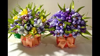 ?Подарочный горшок с крокусами/?Crocuses of Ribbons/Gift/Tutorial