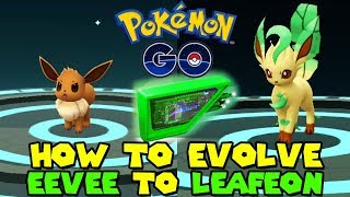 HOW TO GET LEAFEON IN POKEMON GO - EEVEE TO LEAFEON EVOLUTION - MOSSY LURE