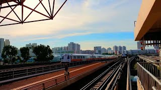 [4K] SMRT East West Line And North South Line Trainspotting At EW24 NS1 Jurong East [Evening Peak]