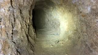 The Surprise Mine Part 1 - It's Harmless, Right?