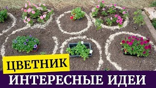 ?Необычный цветник своими руками. Клумба на даче из петуний, лобелий и не только?