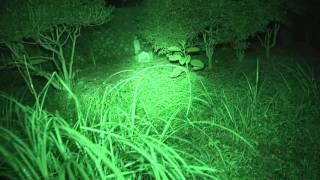 超怖い心霊 Ghost Research 2016 首塚01編