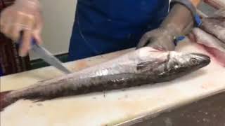 Hake fish filleting. Fish factory in Ireland. Разделка рыбы Хек