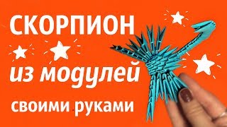 СКОРПИОН Из Модулей | Модульное Оригами | Мастер Класс