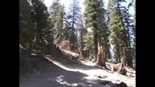 4 Yosemite Half Dome Trail up Part 4 of 5 // Mile 4.9 to 6.7   HDhour4