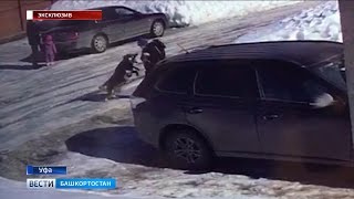 В Уфе на детей напала собака
