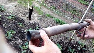 Как избавиться от кротов на участке How to get rid of moles in the garden and the garden