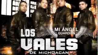 Los Vales De MIchoacan - (2014)  - EL COMPA 30
