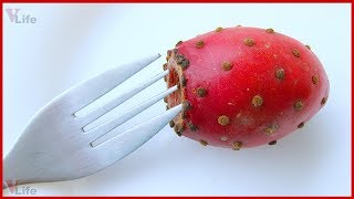 ОПУНЦИЯ КАК ЕСТЬ И КАК ЧИСТИТЬ ПЛОД КАКТУСА?