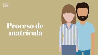 Proceso de matrícula 2017 - 20