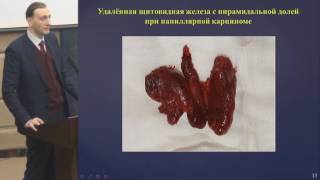 Доклад Долидзе Давида Джоновича на МЭС 2017