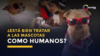 Tratar a tu mascota como un hijo: El peor error que puedes cometer