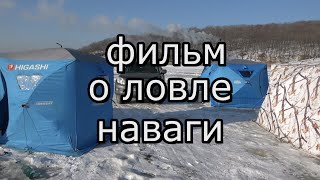 Ловля наваги на реке Майхе (Приморский край)