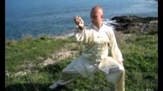 Chen Taijiquan applications