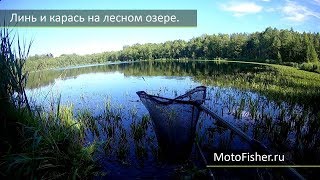 Рыбалка на озере в Беларуси. Витебск. Линь и карась.