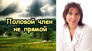 Половой член непрямой