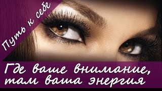 Мысли человека. Где Ваше внимание, там Ваша энергия. | Путь к себе