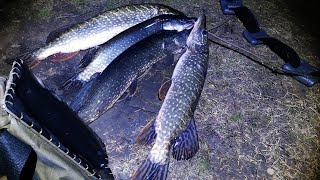 Подводная охота весна 2019 часть 1 ЧАСТНЫЙ ВОДОЕМ!!!
