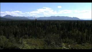 Competition, Predation, and Symbiosis | Biology | Ecology