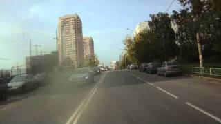 Насекомые: ДТП со смертельным исходом (2011-09-20)