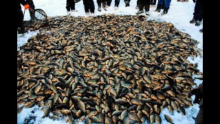 ДИКАЯ РЫБАЛКА/ПЕРВЫЕ СЕТИ В -30!!!!