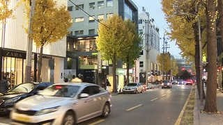 '뜨는 상권 나는 임대료'…서울시 제동 나섰다