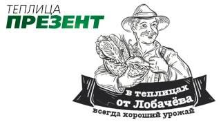 Теплица ПРЕЗЕНТ с открывающейся крышей