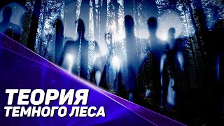 РОЛИК НЕ ДЛЯ ВСЕХ: ЧТО ТАКОЕ ТЕОРИЯ ТЕМНОГО ЛЕСА?