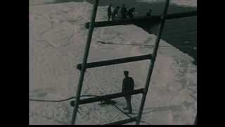 The Tarantula Waltz - Lynx (Official Video)