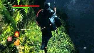 Dark Souls (прохождение) #55 - Гидра в саду тёмных корней. 160205-3