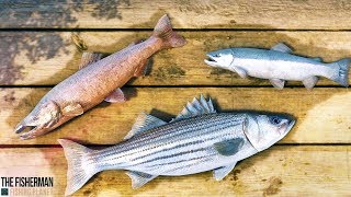 First Look! | The Fisherman - Fishing Planet (SPONSORED) | Jeff Favignano