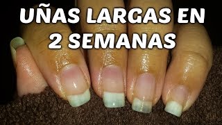 EN 2 SEMANAS!!como hacer CRECER LAS UÑAS!/UÑAS LARGAS EN 2 SEMANAS | AANGIE