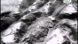 Индустриализация в Советском союзе