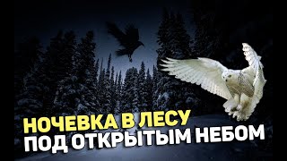 Ночевка в лесу под открытым небом,  температура воздуха минус 15, просчет во времени!!!