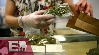 Última hora: Aprueban uso lúdico de la marihuana /  Yuriria Sierra