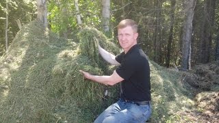 АТ105 Переработка сложной органики. Черви Старатель