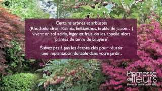 Comment planter un arbre  de terre de bruyère ? La réponse en vidéo !