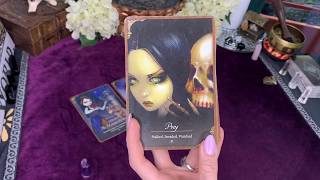 Scorpio ♏️ | They Want it All | Reconciliation | Tarot Reading February 2020
