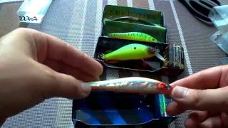 TsuYoki, Kosadaka - узкоглазые воблера minnow для твича...Kyshnir CHEfishing