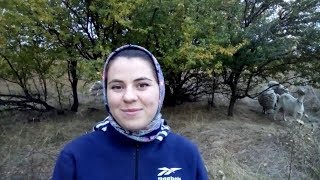 Заработок в деревне, который радует.
