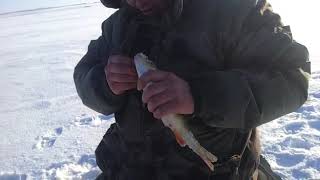 аслыкуль 21.01.219