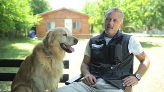 Kimler köpek sahibi olabilir?