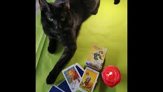 ЕГО ПЛАНЫ НА ВАС? ЕГО ДЕЙСТВИЯ ? СЕГОДНЯ. Гадание онлайн, таро, tarot