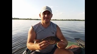 Карась и подлещик после обеда. Карась. Плотва. Густера.